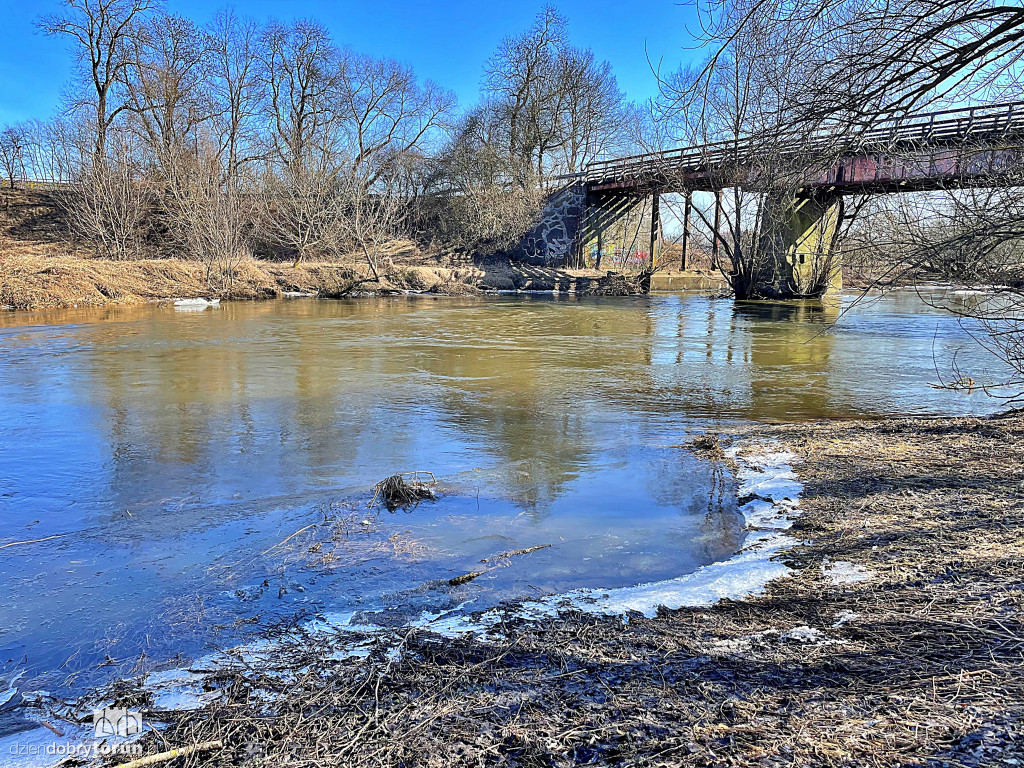 Tak wygląda Drwęca w Złotorii