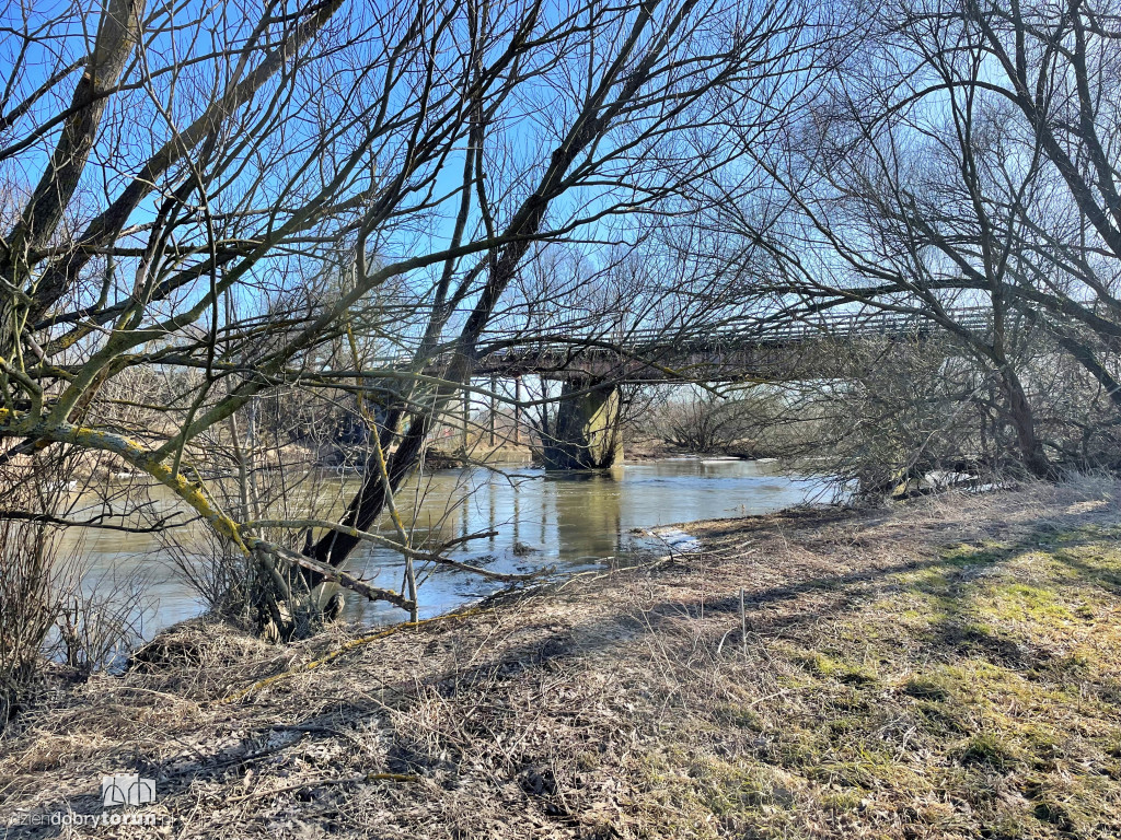 Tak wygląda Drwęca w Złotorii