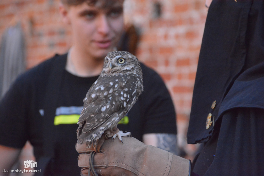 Królewska atmosfera na Zamku Dybowskim. Tak uczczono ważną rocznicę