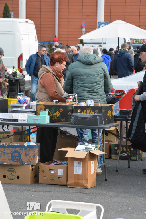 Pchli Targ pod Kometą