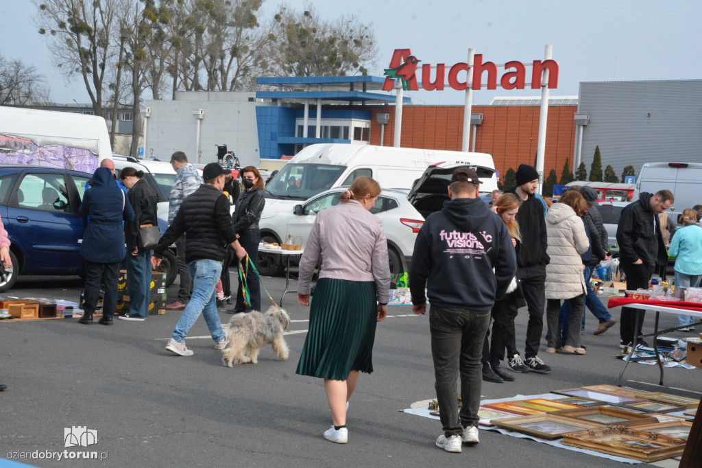Pchli Targ pod Kometą