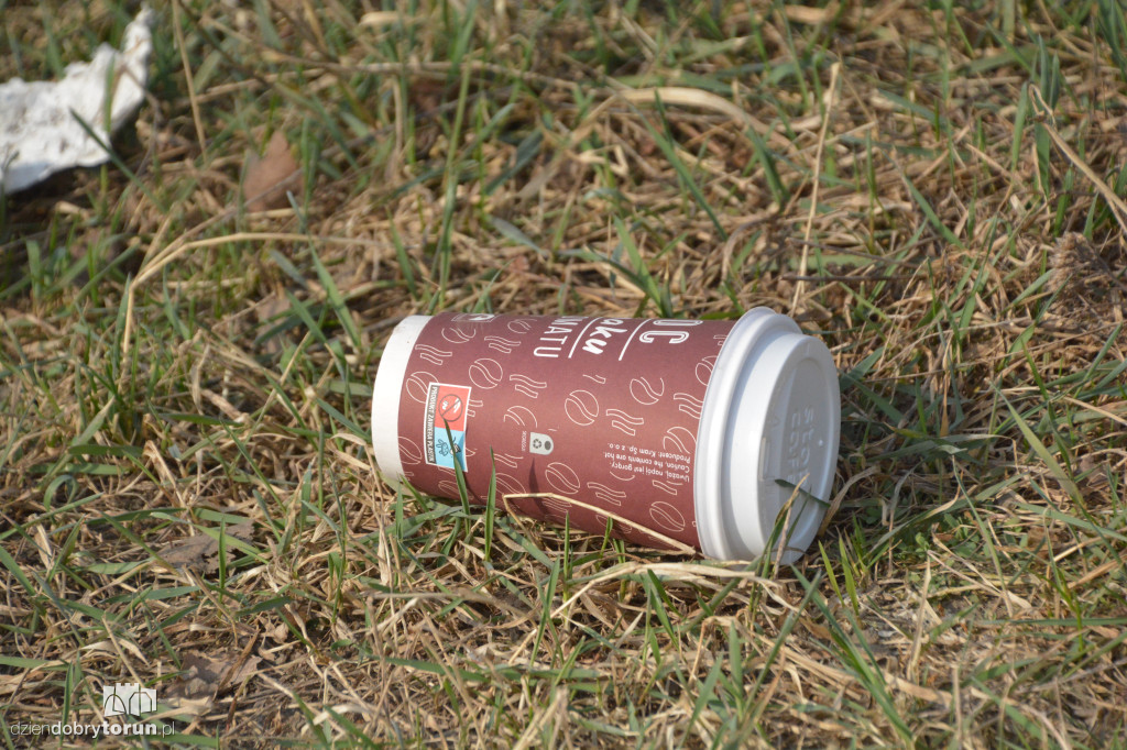 Plogging w Toruniu