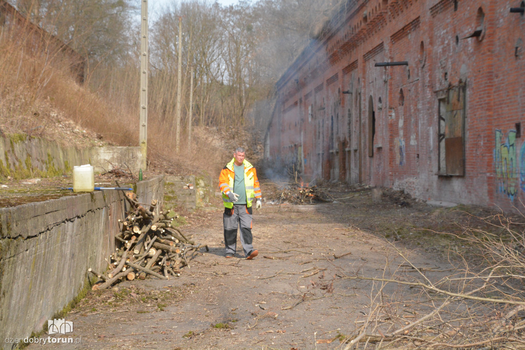 Wiosenne porządki w Forcie I