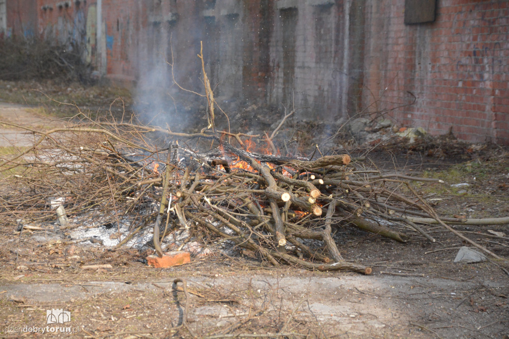 Wiosenne porządki w Forcie I