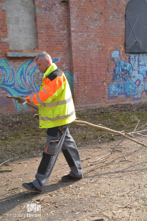 Wiosenne porządki w Forcie I