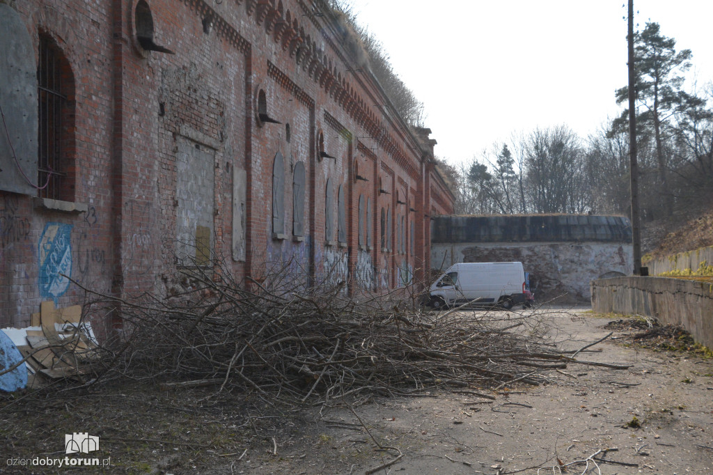Wiosenne porządki w Forcie I