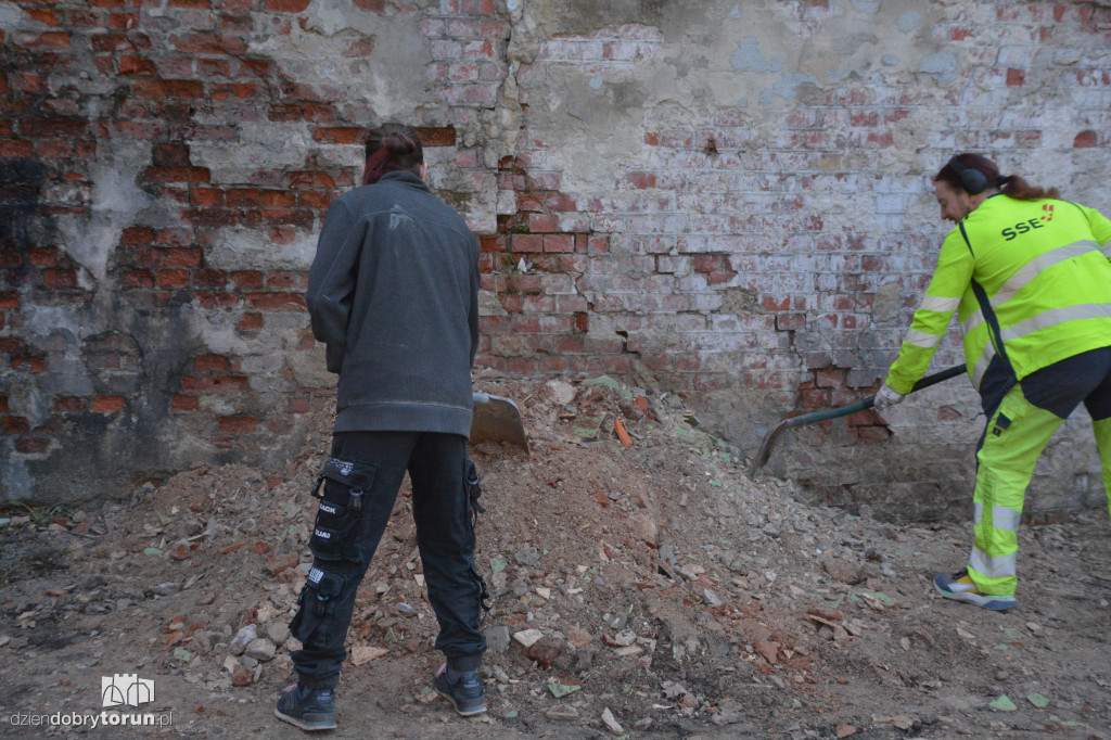 Wiosenne porządki w Forcie I