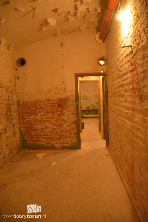 Wiosenne porządki w Forcie I