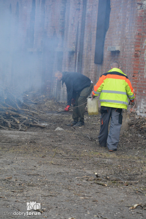 Wiosenne porządki w Forcie I