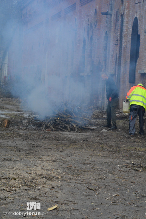 Wiosenne porządki w Forcie I