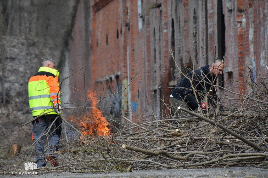 Wiosenne porządki w Forcie I