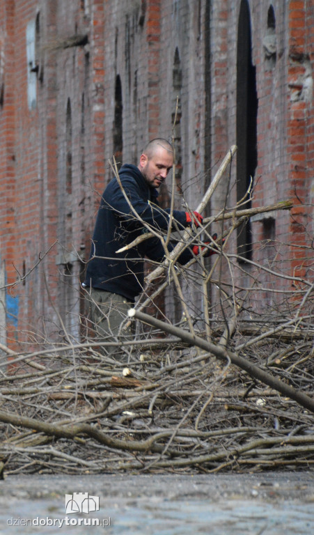 Wiosenne porządki w Forcie I