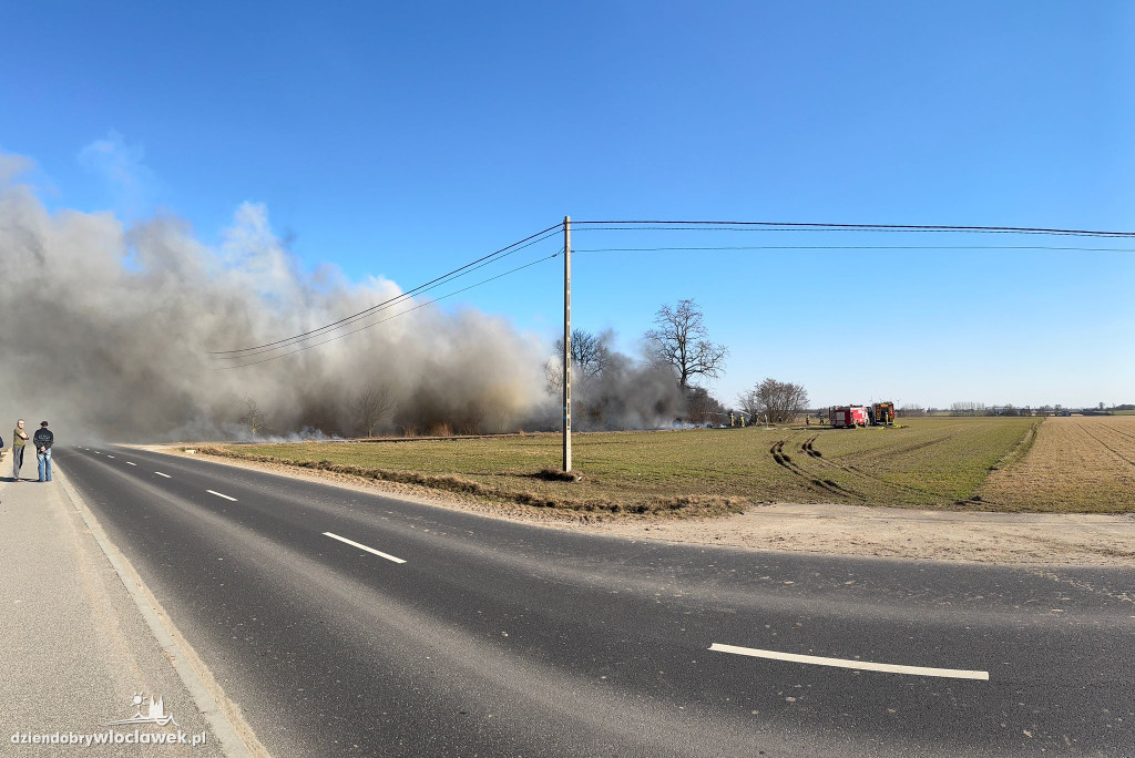 Pożar w Korzeszynku
