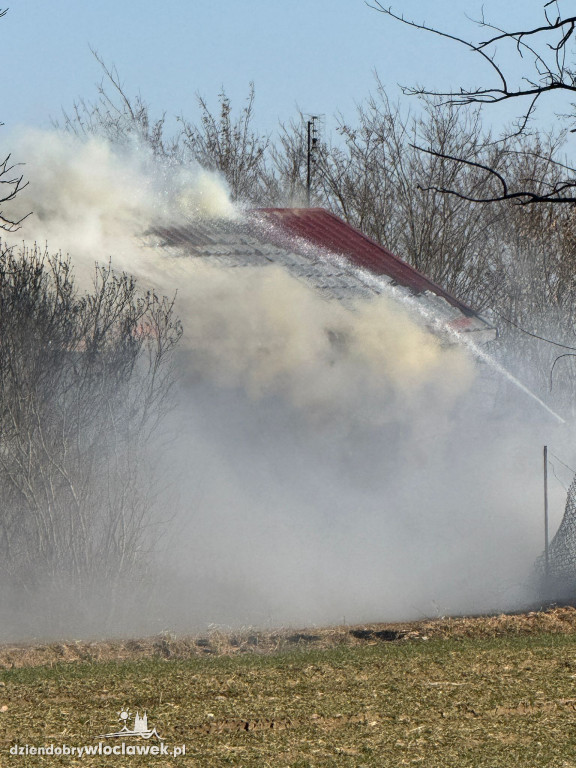 Pożar w Korzeszynku
