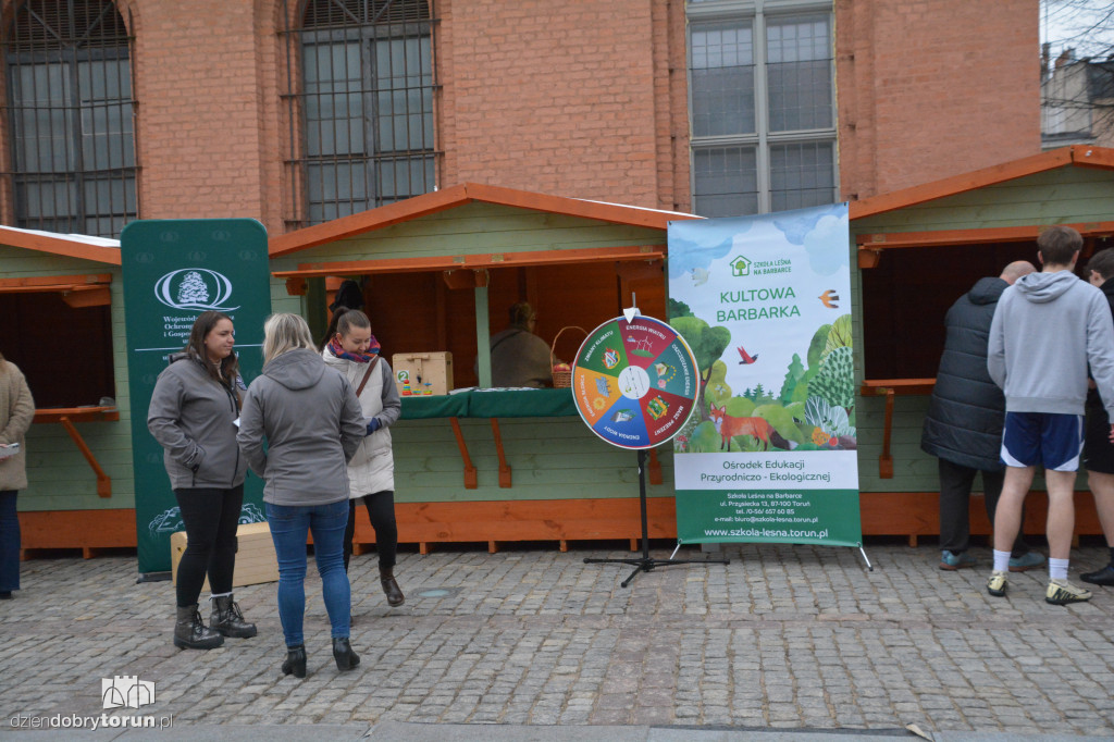 Miasteczko kibica już otwarte. Tak wygląda sportowe centrum Torunia