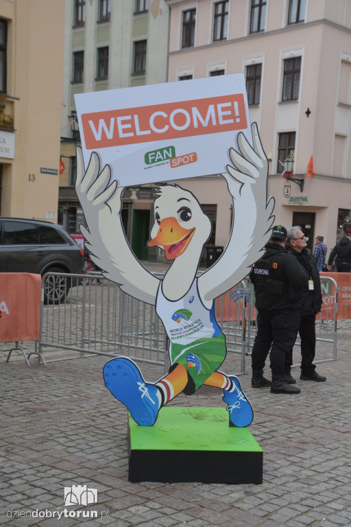 Miasteczko kibica już otwarte. Tak wygląda sportowe centrum Torunia