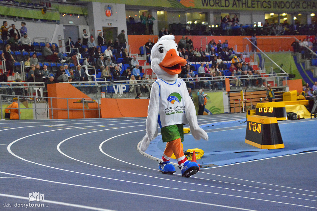 Polacy w formie od rana na HMŚ w Toruniu