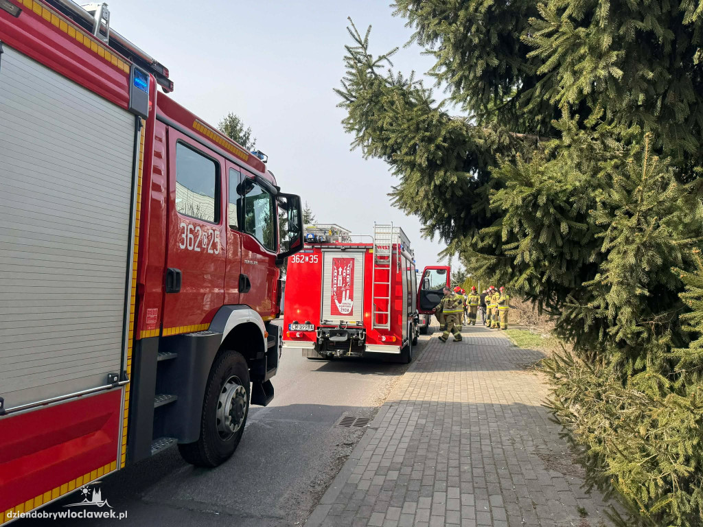 Samochód wjechał w dom