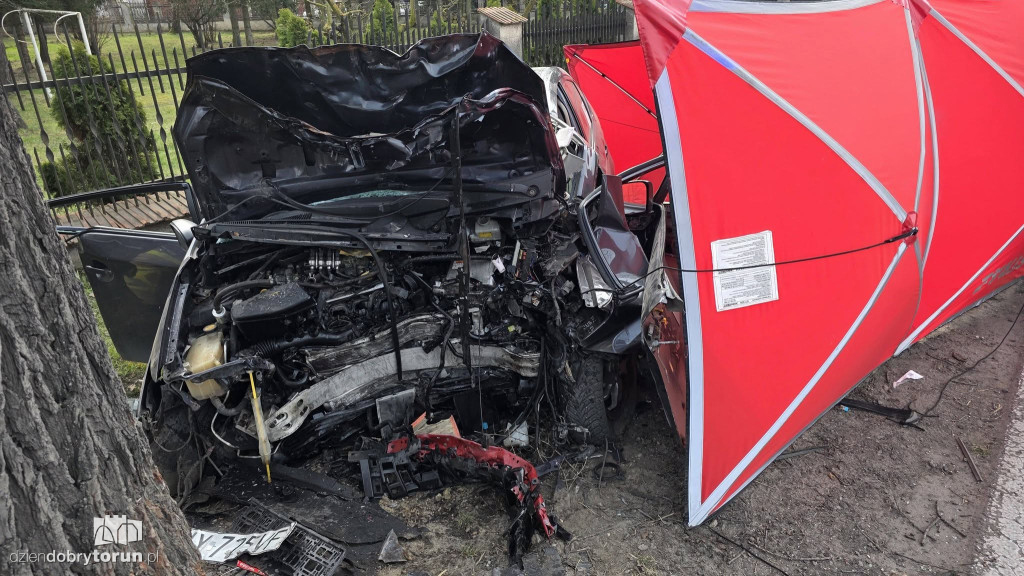 Samochód uderzył w drzewo, kierowca nie przeżył