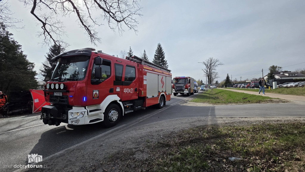 Samochód uderzył w drzewo, kierowca nie przeżył