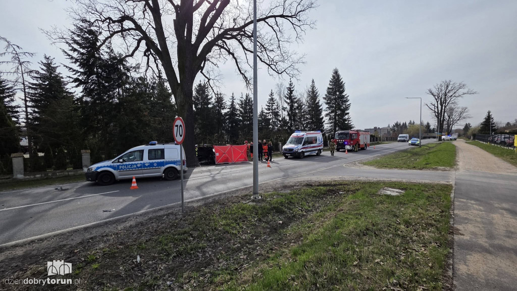 Samochód uderzył w drzewo, kierowca nie przeżył