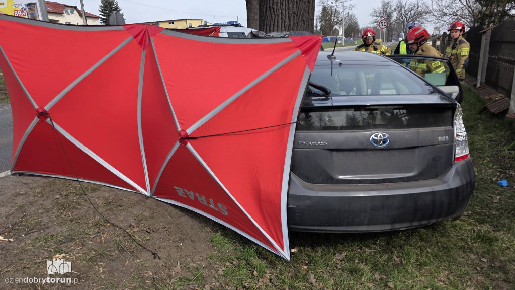 Samochód uderzył w drzewo, kierowca nie przeżył