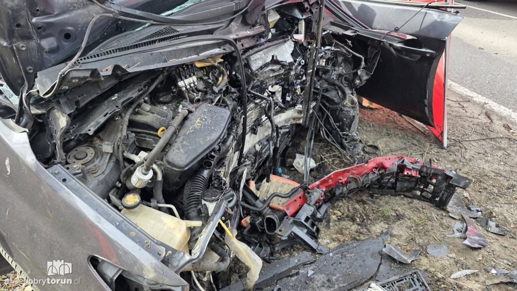 Samochód uderzył w drzewo, kierowca nie przeżył