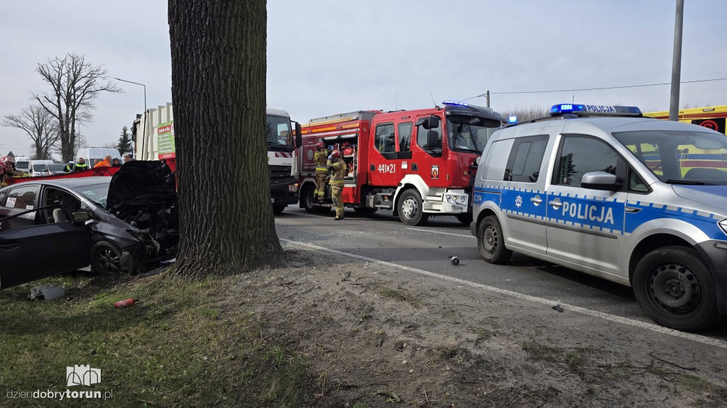 Samochód uderzył w drzewo, kierowca nie przeżył