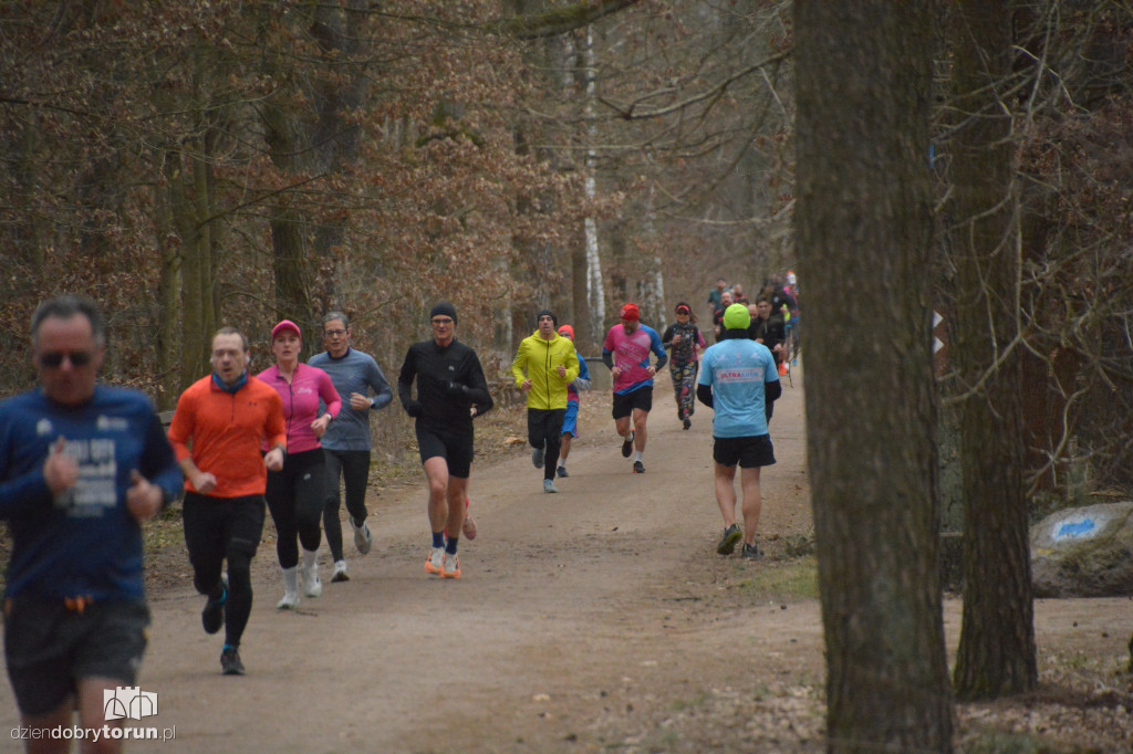 Parkrun #503