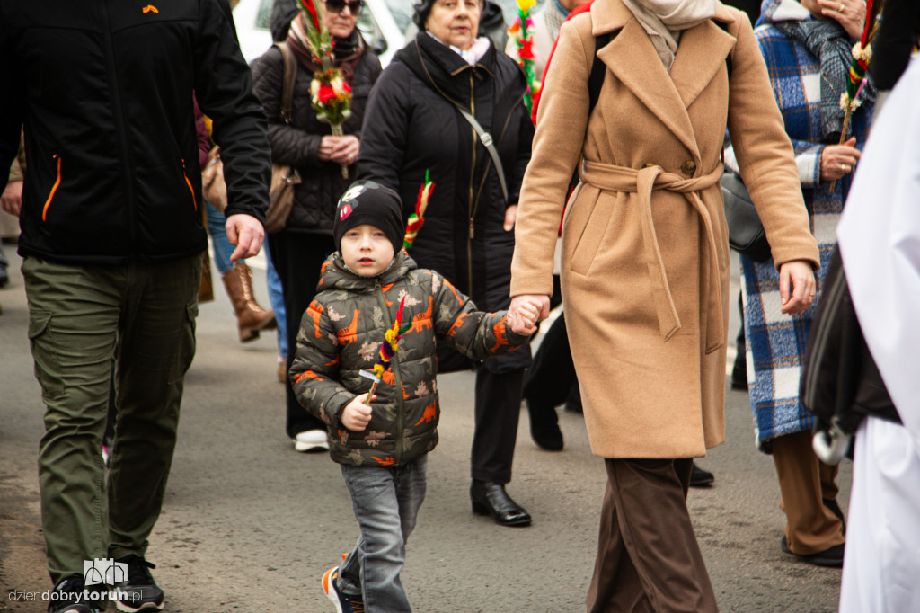Procesja z palmami w parafii św. Józefa