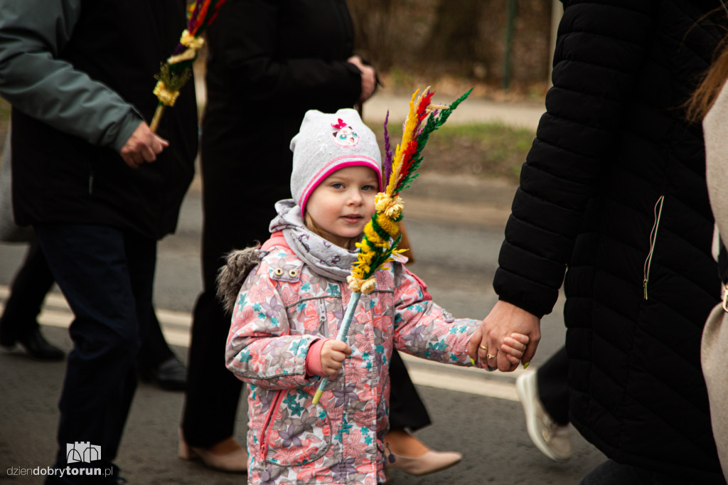 Procesja z palmami w parafii św. Józefa