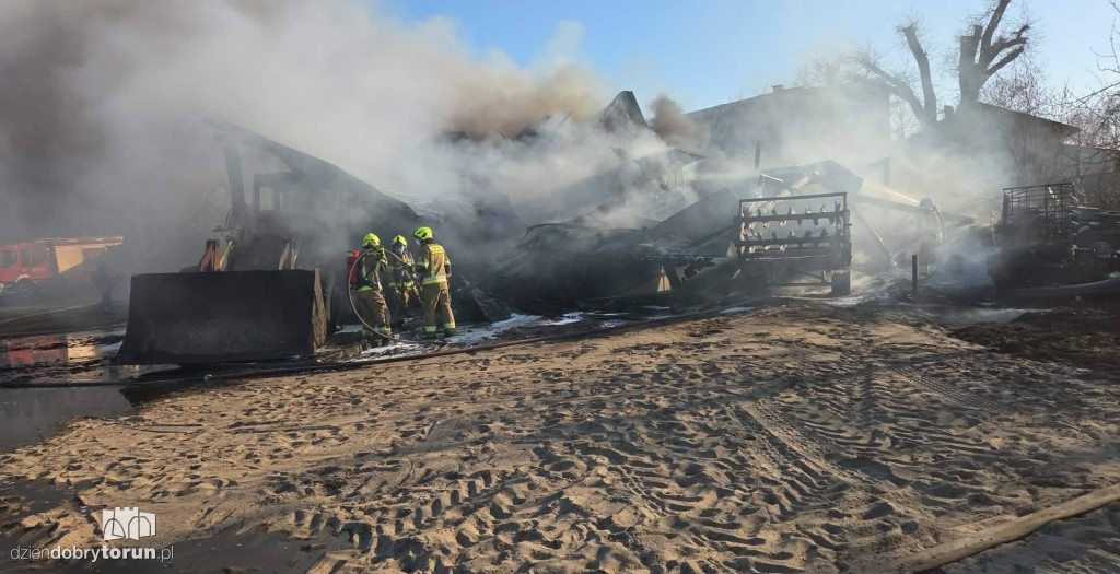 Pożar w Wołuszewie pod Ciechocinkiem