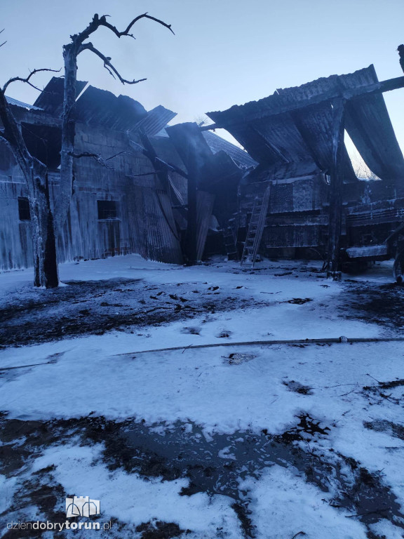 Pożar w Wołuszewie pod Ciechocinkiem