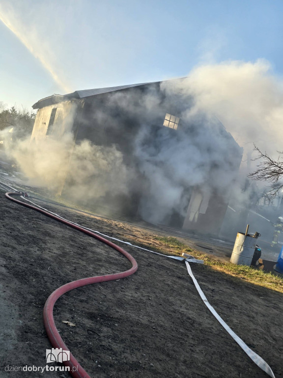 Pożar w Wołuszewie pod Ciechocinkiem
