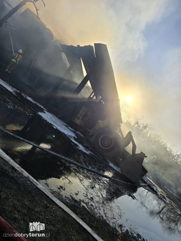 Pożar w Wołuszewie pod Ciechocinkiem