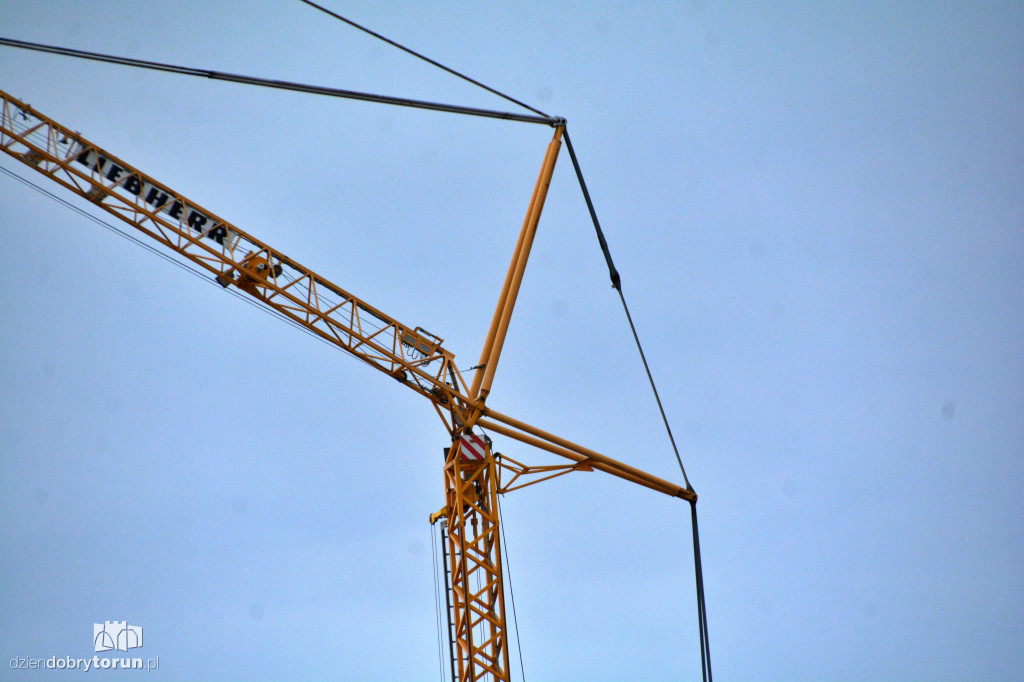 Pomnik Matki Boskiej w gminie Kikół