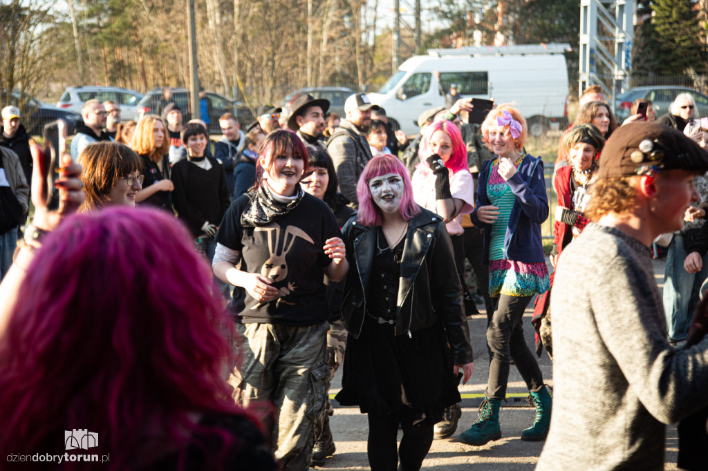 Rock bez dachu w toruńskiej Sercowni