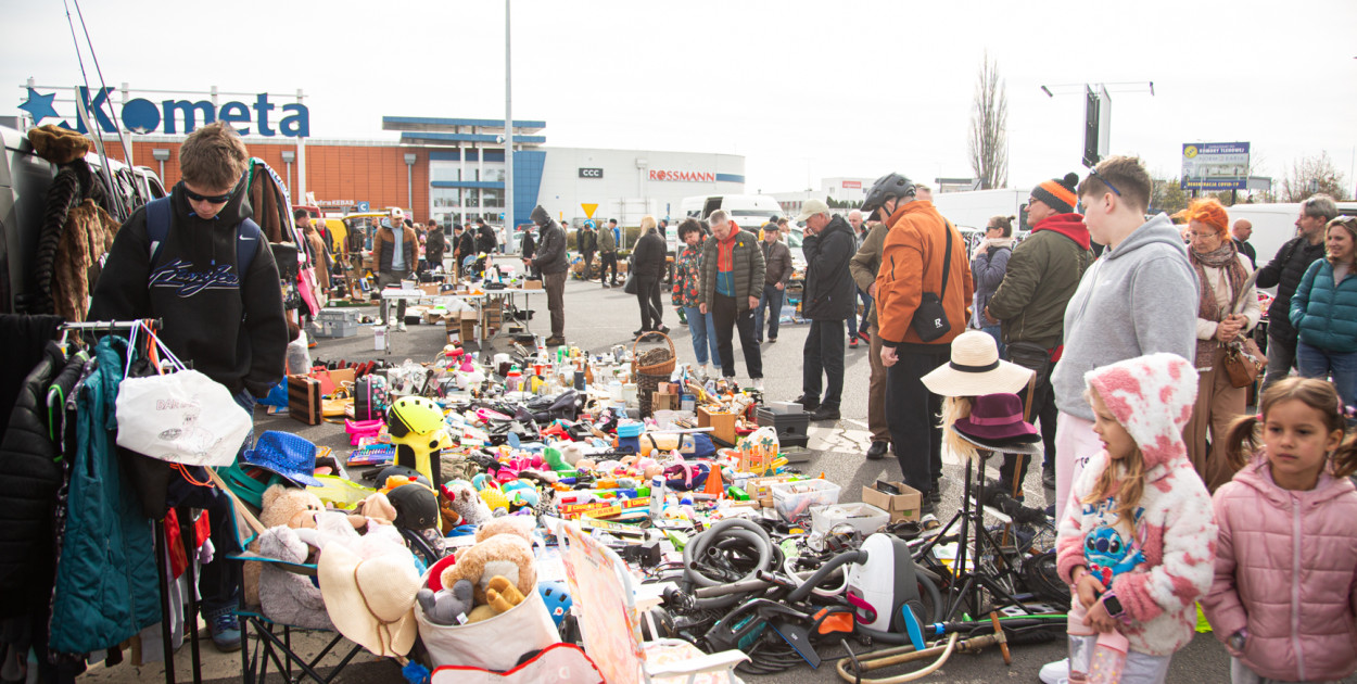 Pchli targ w Toruniu