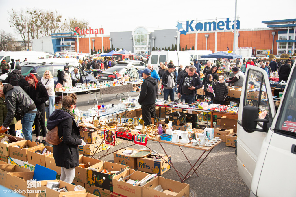 Pchli targ w Toruniu