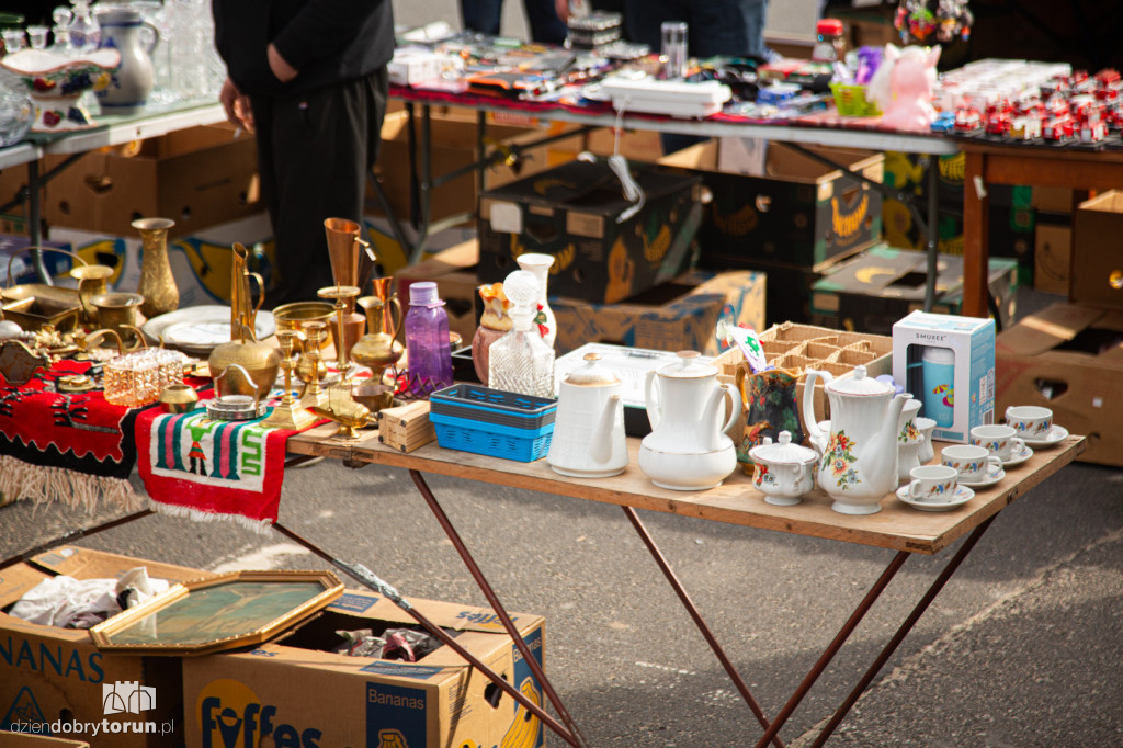 Pchli targ w Toruniu