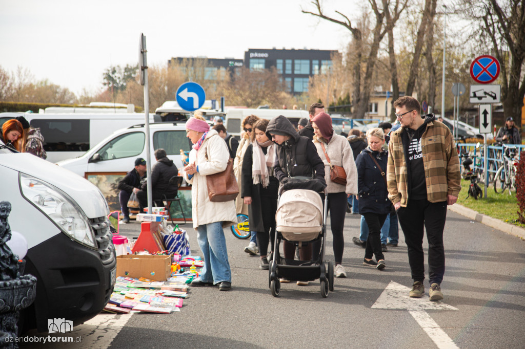 Pchli targ w Toruniu