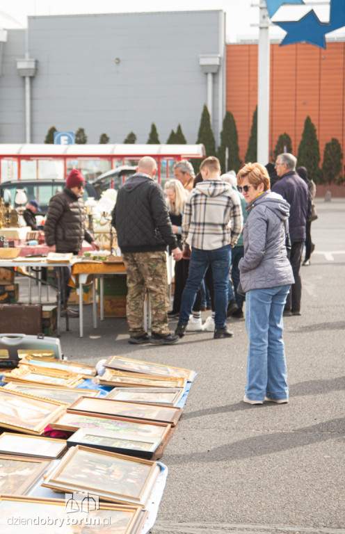 Pchli targ w Toruniu