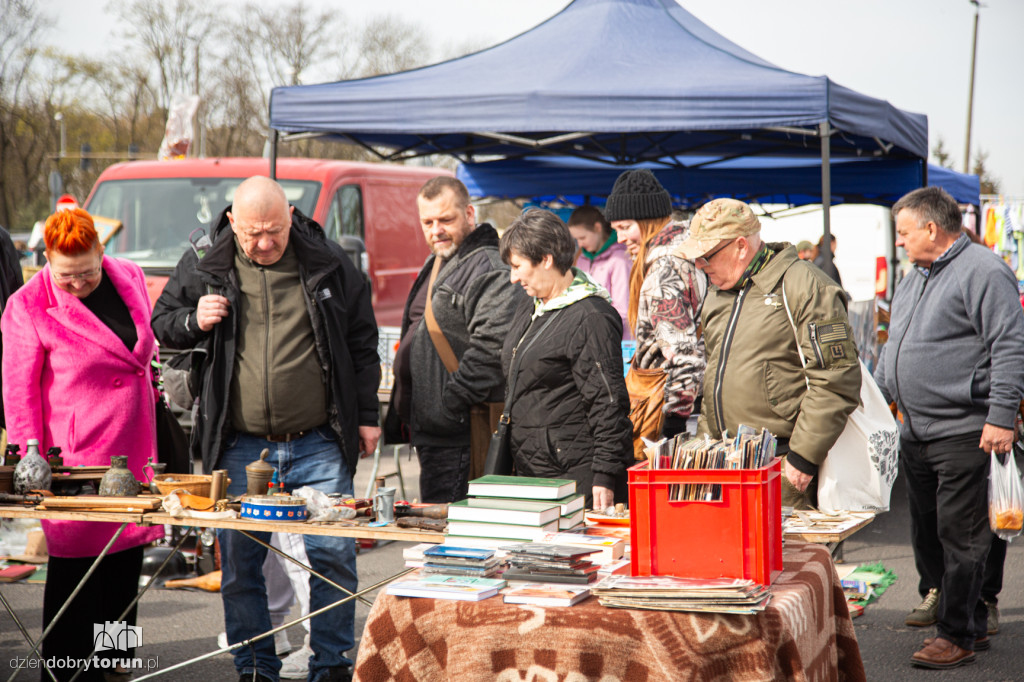 Pchli targ w Toruniu