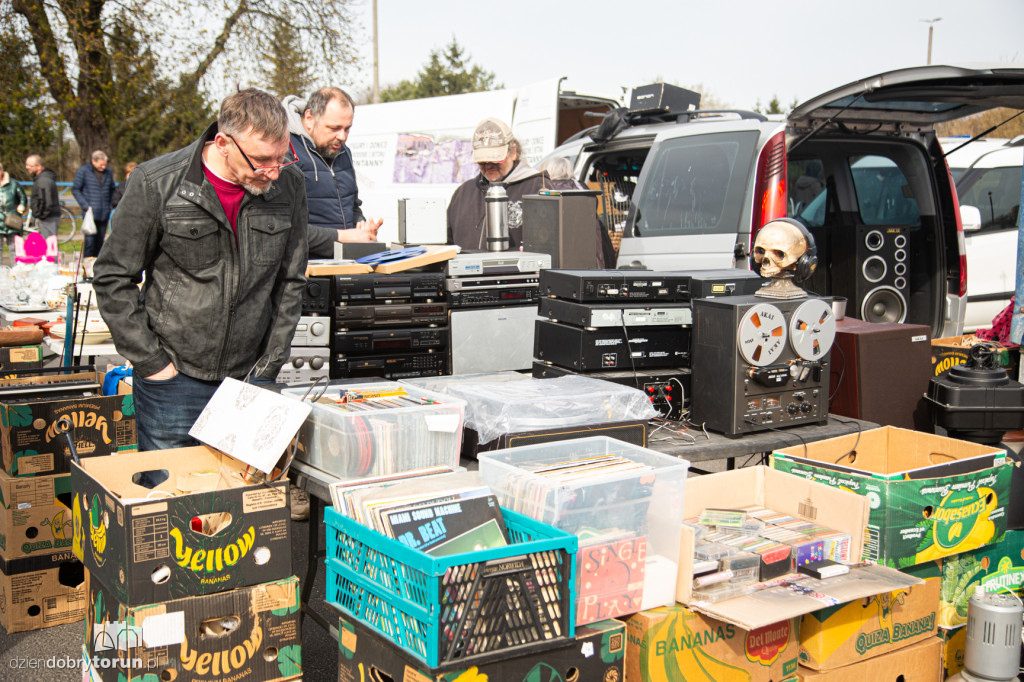 Pchli targ w Toruniu