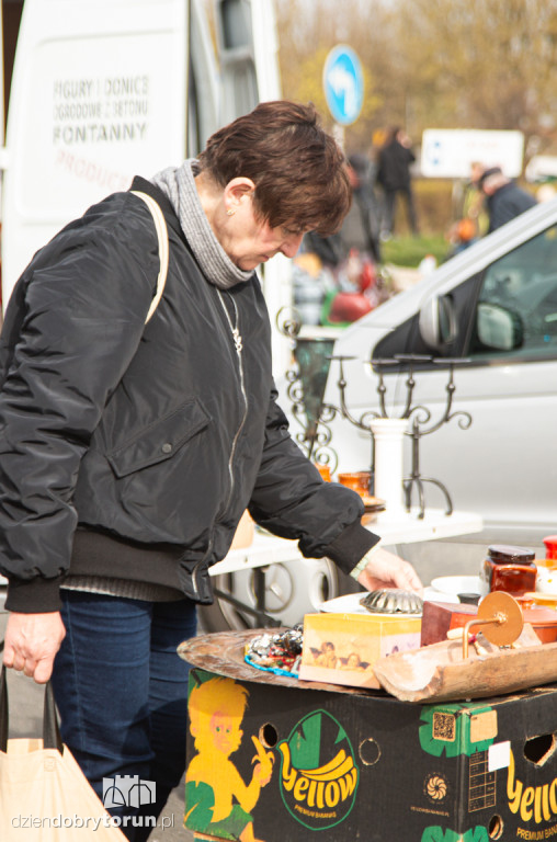 Pchli targ w Toruniu