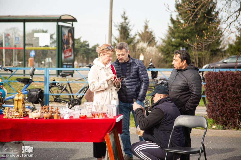 Pchli targ w Toruniu