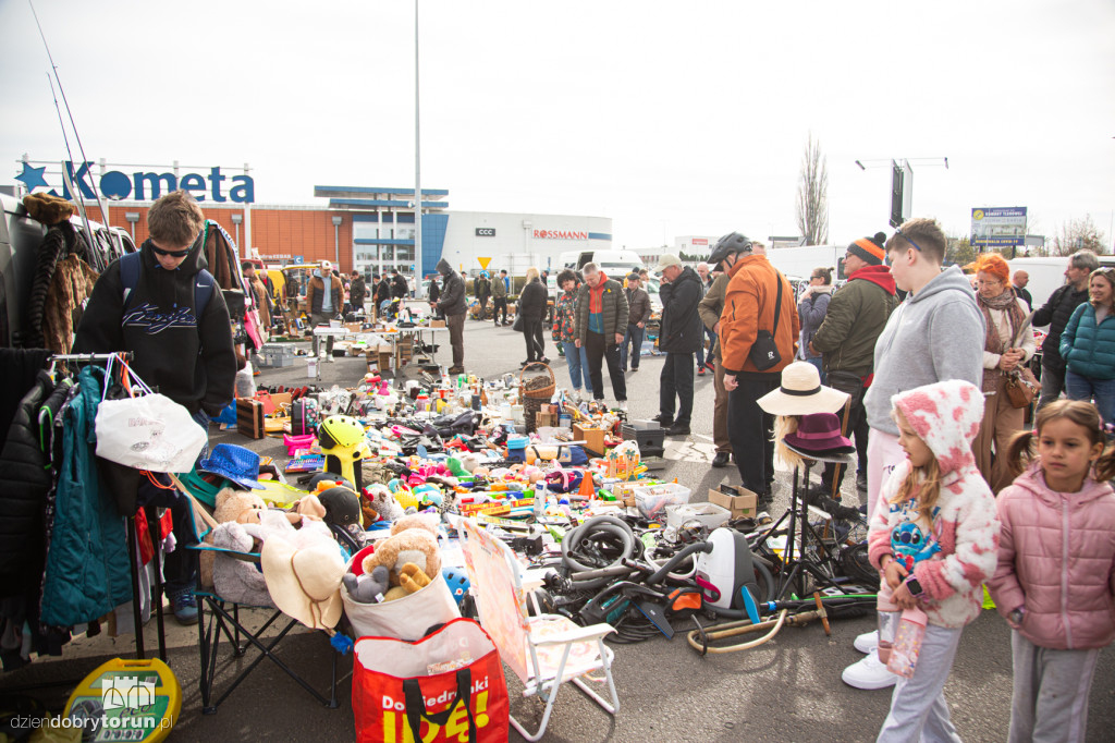 Pchli targ w Toruniu