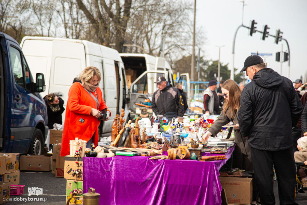 Pchli targ w Toruniu