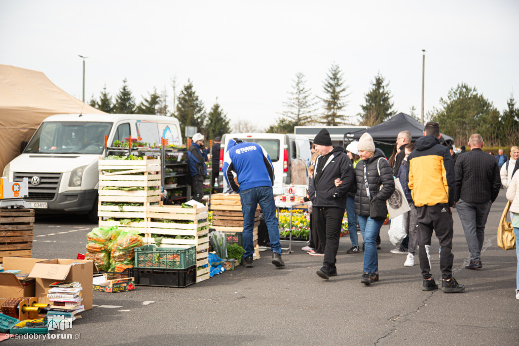 Pchli targ w Toruniu