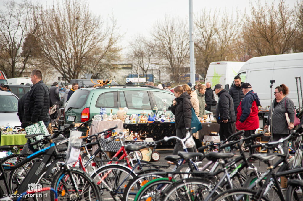 Pchli targ w Toruniu